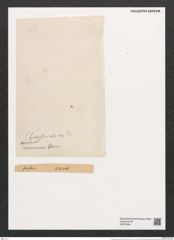 Fragilaria marmonorum Grun. (de-Toni-Nr.: Genus 73, Species 2745) Zeichnungen Sammlung Grunow (NHMW-BOT-W0374094)